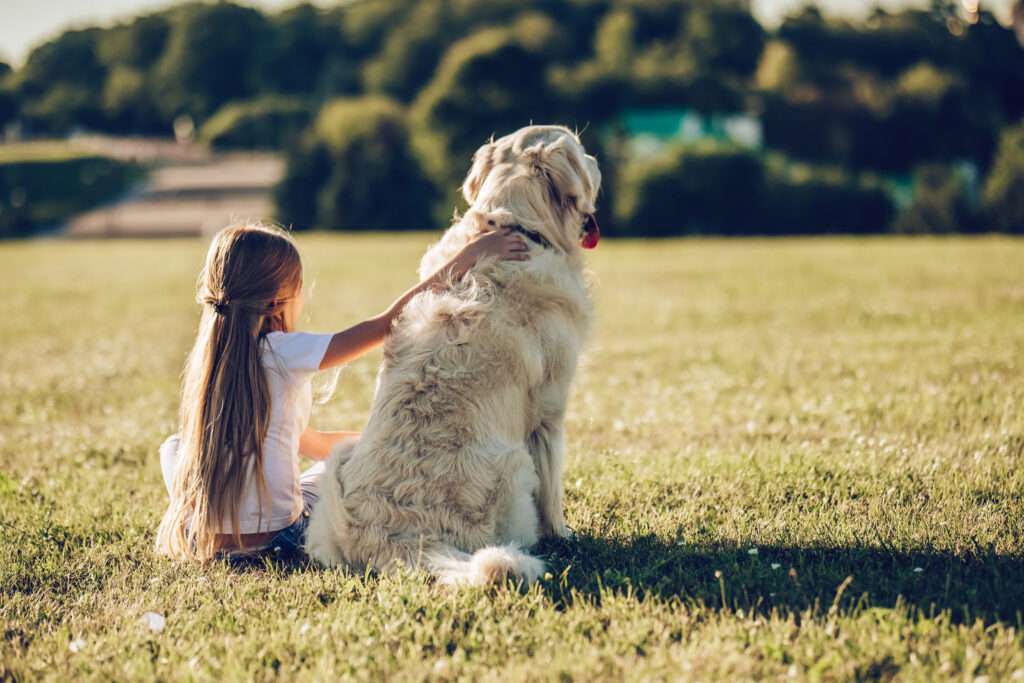 Tender reunion moment between a girl and her beloved dog after a safe and caring journey with US pet transport services. Explore our blog for heartwarming stories and insights on pet reunions and travel experiences.